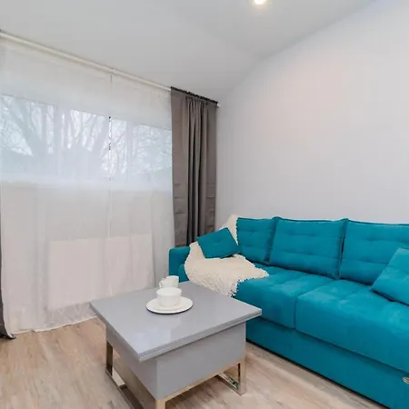 Your Comfy Home In Mid-Toronto